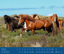 Laden Sie das Bild in den Galerie-Viewer, Islandpferdekalender 2025 Edition Boiselle