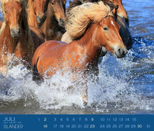 Laden Sie das Bild in den Galerie-Viewer, Islandpferdekalender 2025 Edition Boiselle