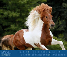 Laden Sie das Bild in den Galerie-Viewer, Islandpferdekalender 2025 Edition Boiselle