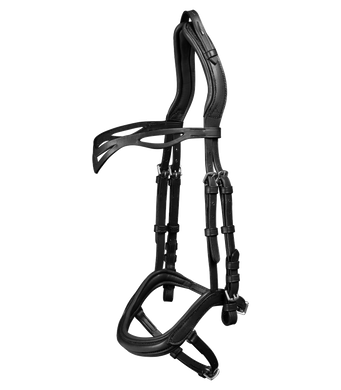 Island Trensenzaum anatomic