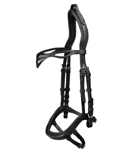 Island Trensenzaum anatomic