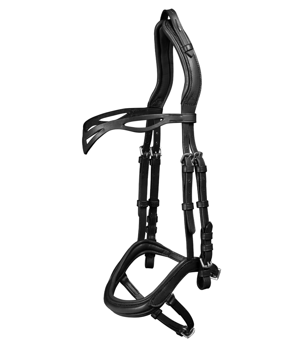 Island Trensenzaum anatomic