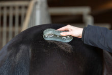 Laden Sie das Bild in den Galerie-Viewer, MagicBrush Bürstenset CornFlowers