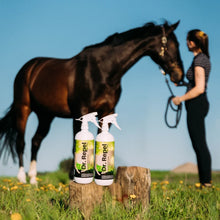 Laden Sie das Bild in den Galerie-Viewer, Dr. Repel Summer Spray für Pferde 1 L – Sommerspray mit finnischem Teerduft
